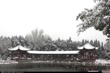 郡中对雪