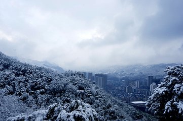 和礼之喜雪十二韵