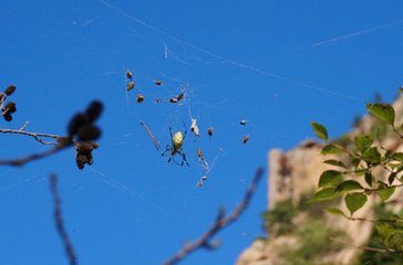 过涧歇近（中吕调）