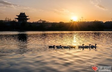 酒中留上襄阳李相公（李逢吉也）