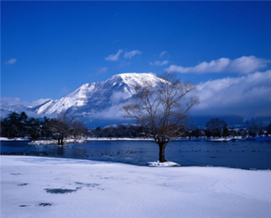 幽居冬暮