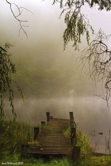 水调歌头·凉吹送溪雨