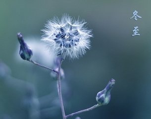 蓦山溪（和人冬至韵）