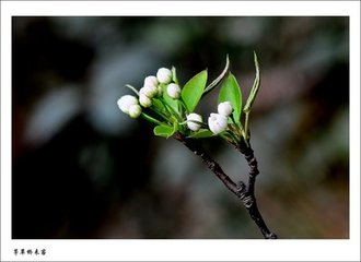 春欲暮雪作不已简子新