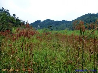 寄淳安括田省贾都事