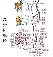 手足阳明少阳脉动发喉