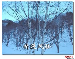 与客观雪