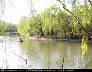 倒垂柳·晓来烟露重