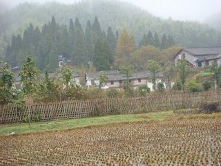 秋日宿楚江西寺